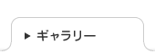 ギャラリー